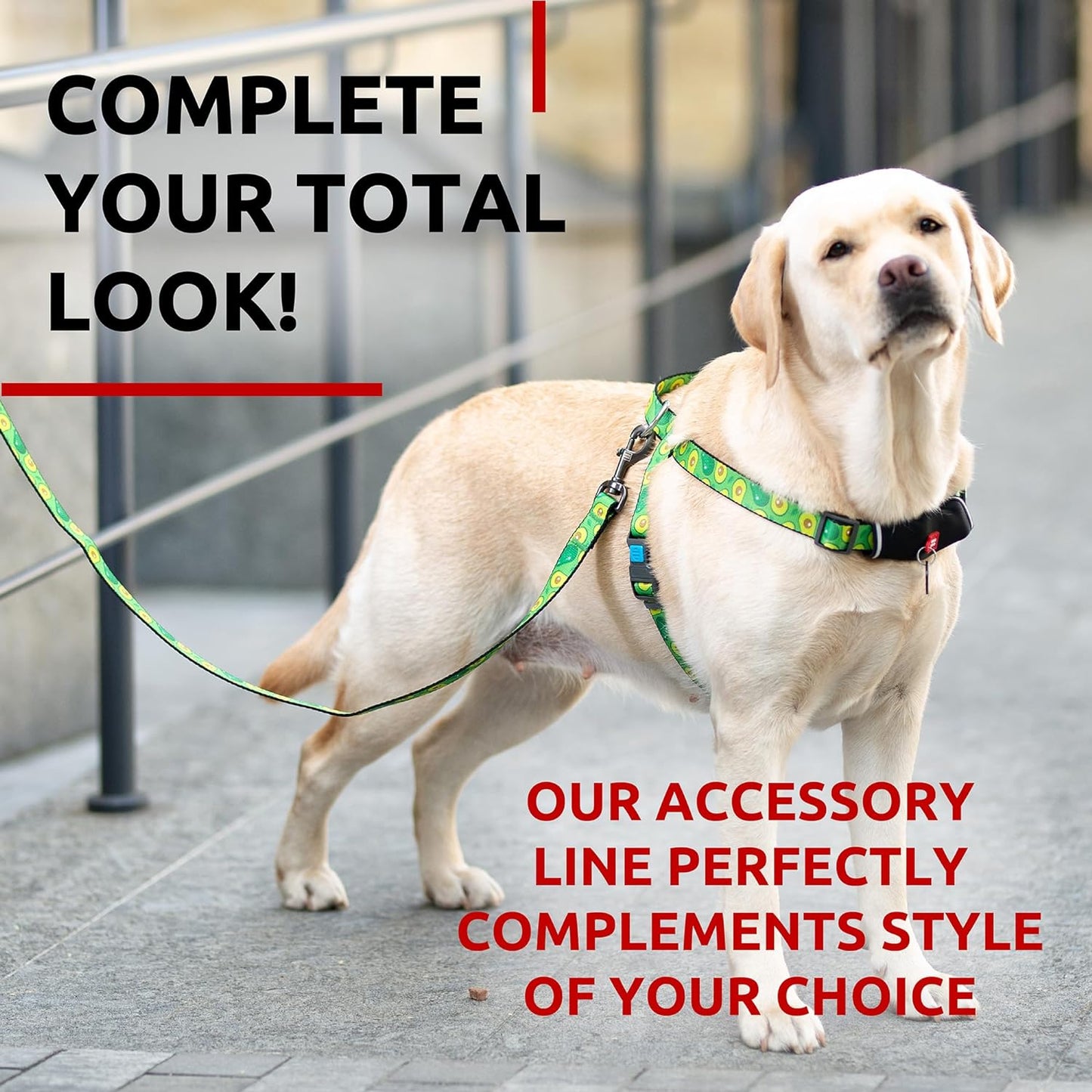 Pawfectly Nylon Dog Leash for Small Dogs and Medium Dogs 4 Ft - Strong Dog Leash for Large Dogs - Heavy Duty Dog Leashes for Large Breed Dogs & Puppy Leash for Small Boy & Girl Dogs