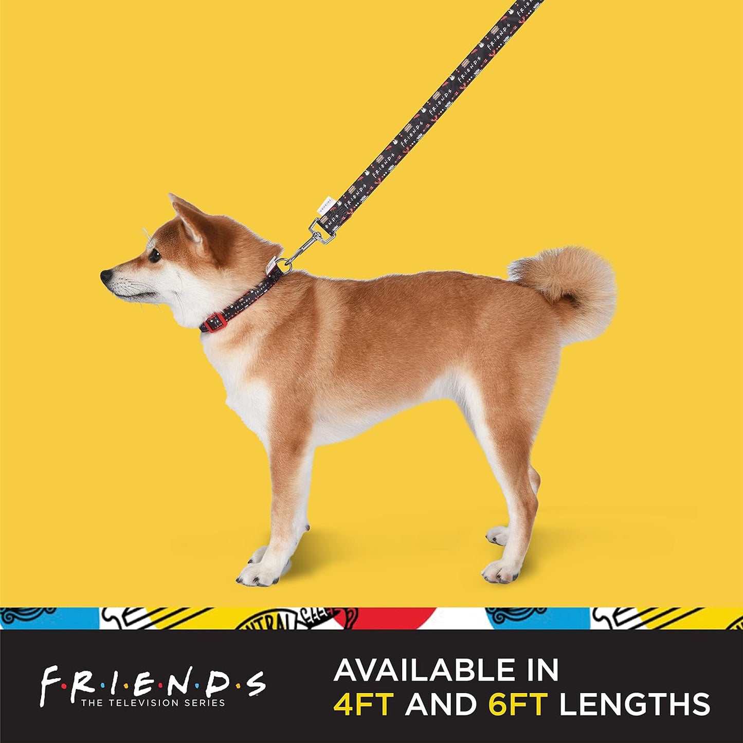 Pawfectly Iconic Graphics Dog Leash, 4 Ft Dog Leash (48 Inches) | Cute Black Dog Leash Easily Attaches to Any Dog Collar or Harness | Friends TV Show Dog Leash for All Dogs