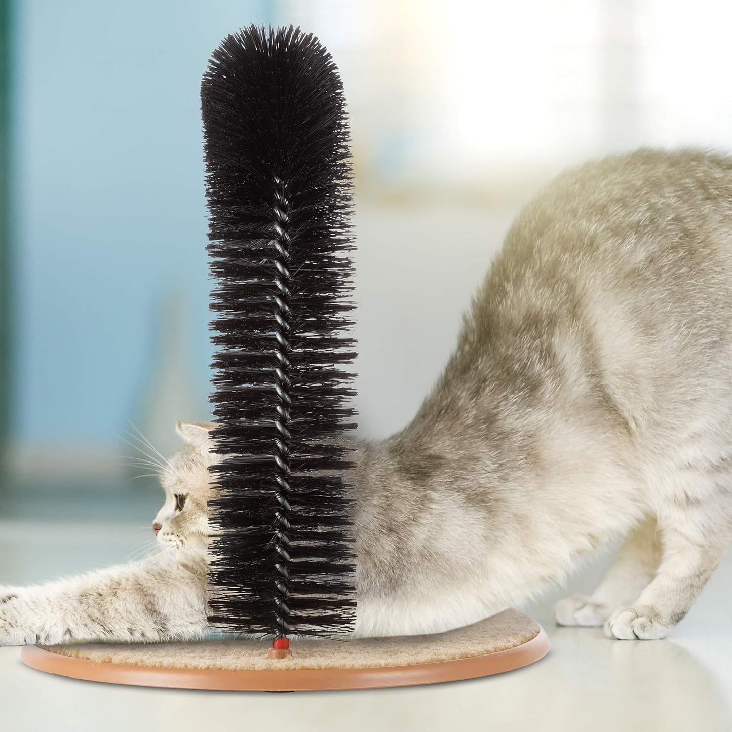 Purrfect Cat Self-Groomer - Bristle Ring Brush Cat Arch with Carpeted Base, Back Scratcher and Massager for Controlling Shedding and Claws by  (Black)