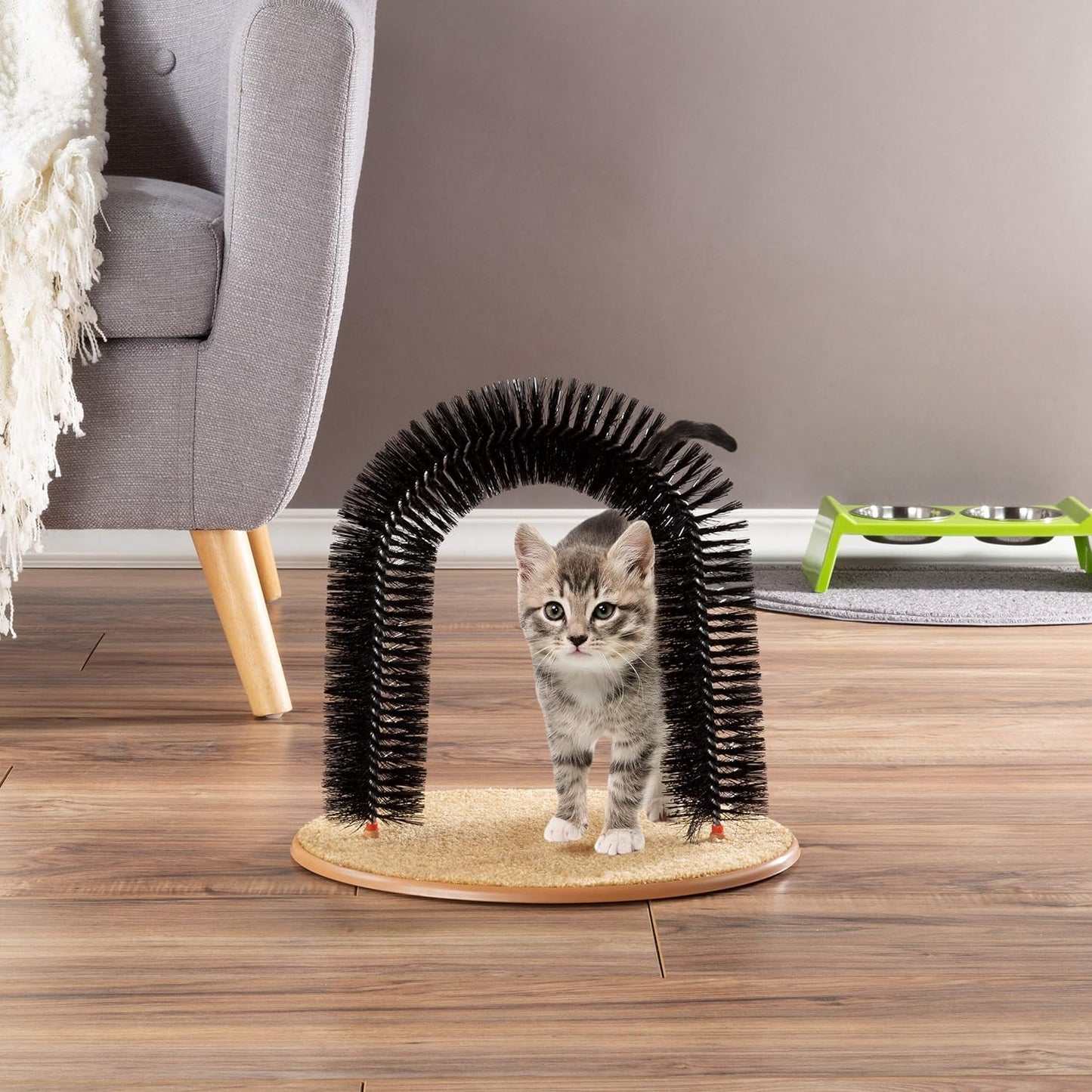 Purrfect Cat Self-Groomer - Bristle Ring Brush Cat Arch with Carpeted Base, Back Scratcher and Massager for Controlling Shedding and Claws by  (Black)