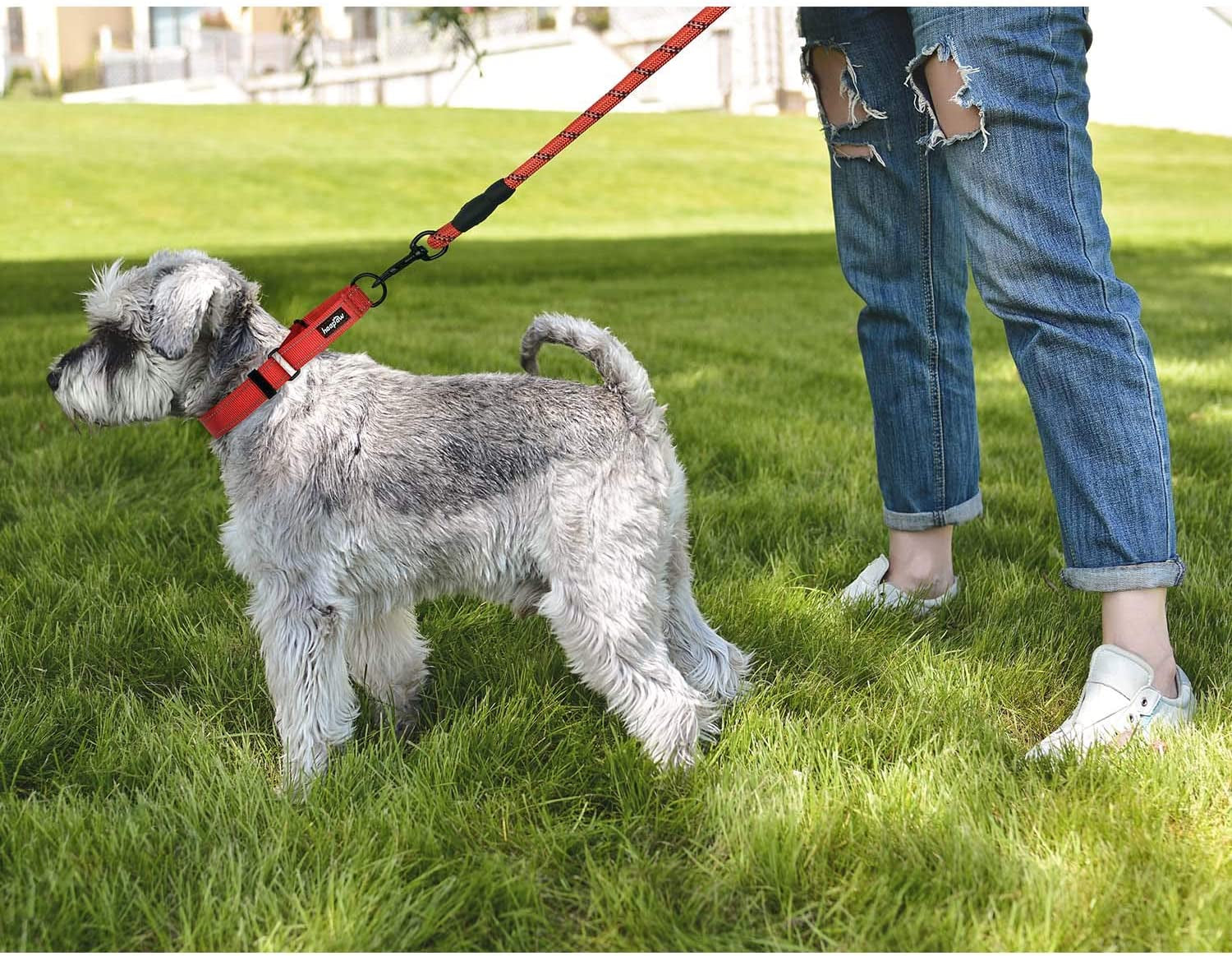 Pawfectly 2 Packs Martingale Dog Collar with Quick Release Buckle Reflective Dog Training Collars for Small Medium Large Dogs