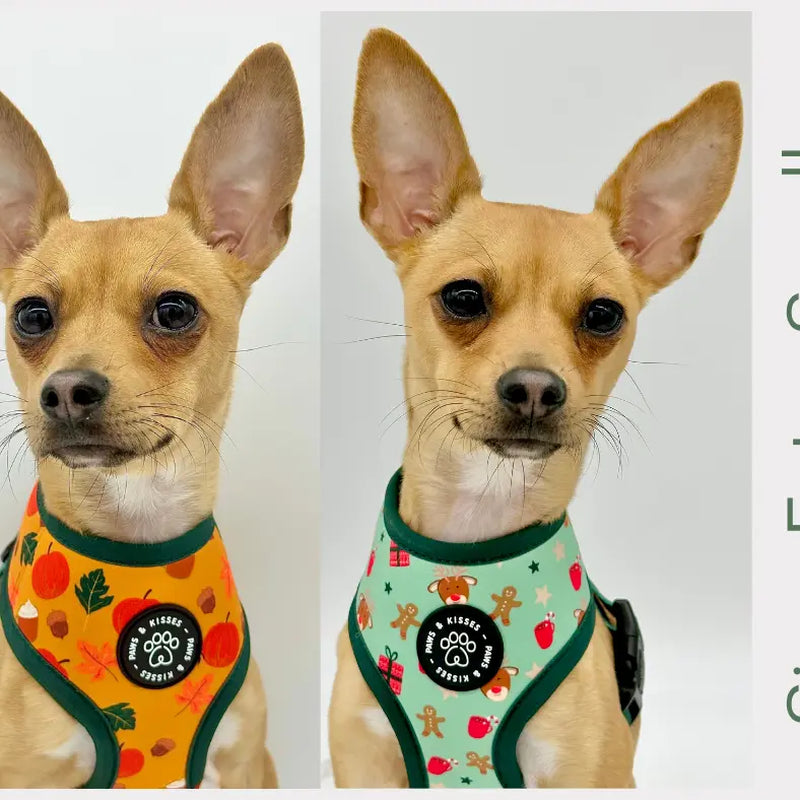 Pawfectly Holiday Reversible Harness