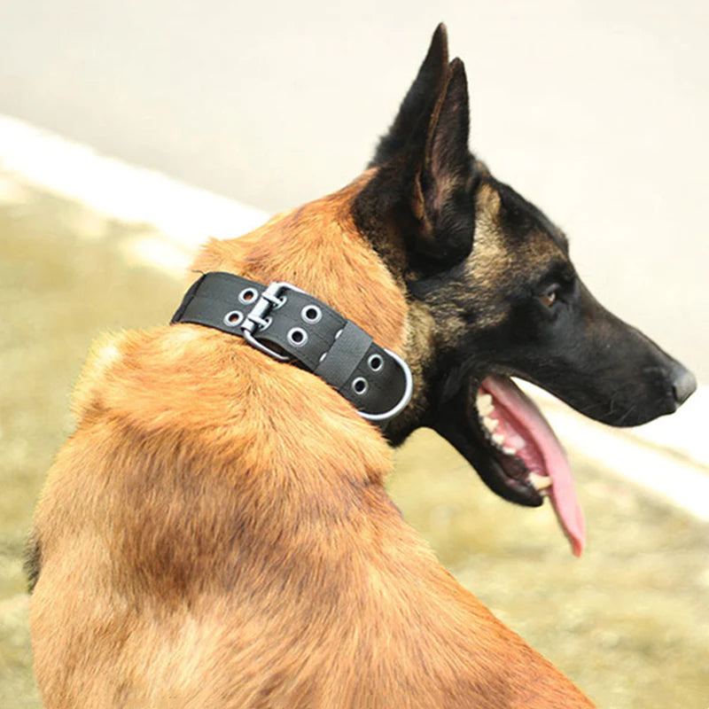 Pawfectly 2" Wide Tactical Heavy Duty Nylon Large Dog Collar K9 Military with Metal Buckle