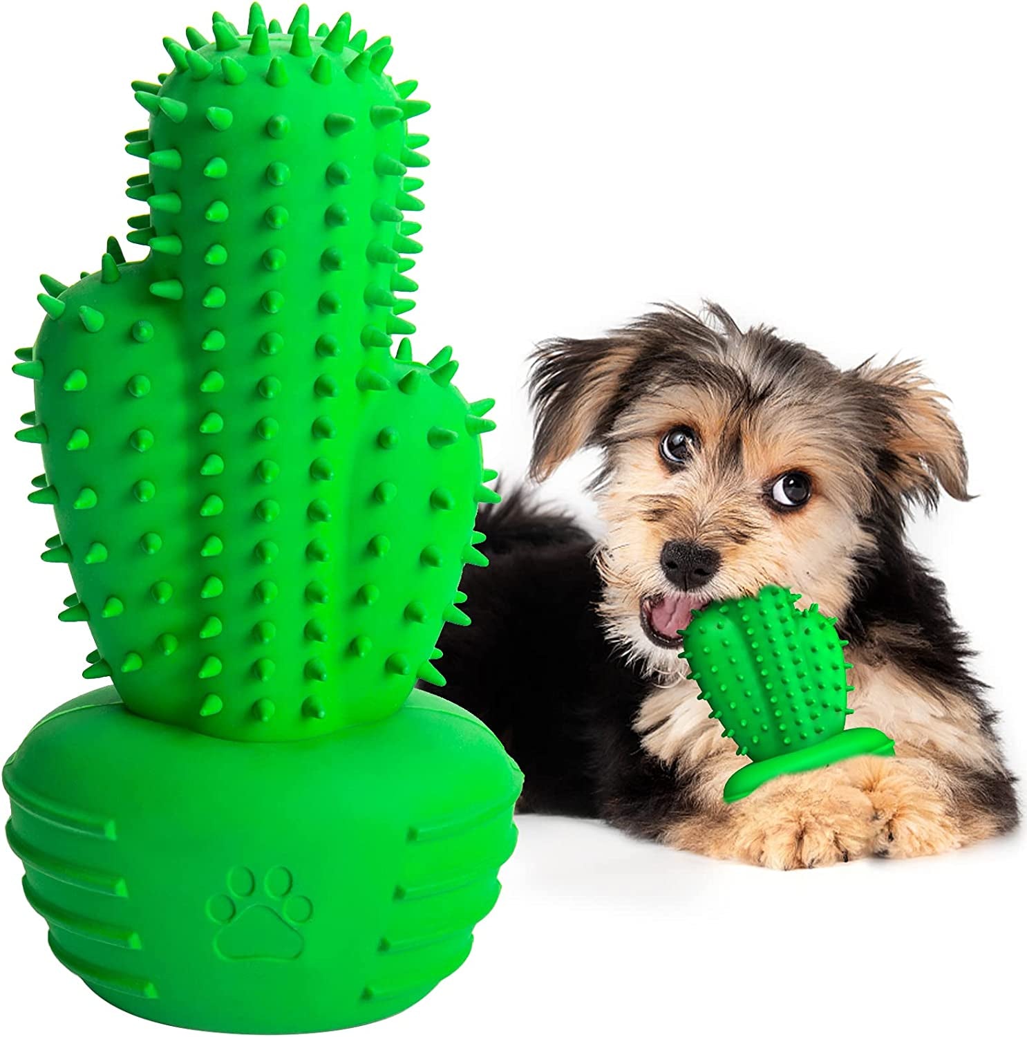 Pawfectly Dog Gifts, Dog Toys for Small Dogs Dog Toothbrush for Teething Cleaning, Rubber Dog Squeaky Toys for Puppy