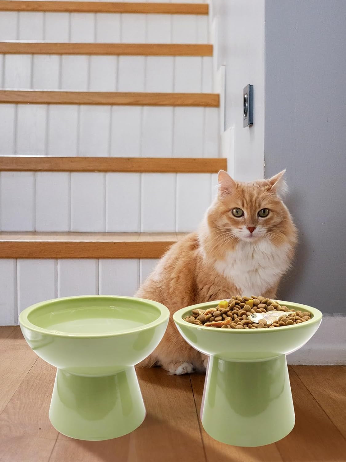 Elevated Cat Food and Water Bowls Set, Extra Wide and Raised Ceramic Cat Feeder, Anti-Vomit Whisker-Free Pressure Cat Feeding Bowl for Kittens Adult Cats Small Dogs (Green, Bowl Set)