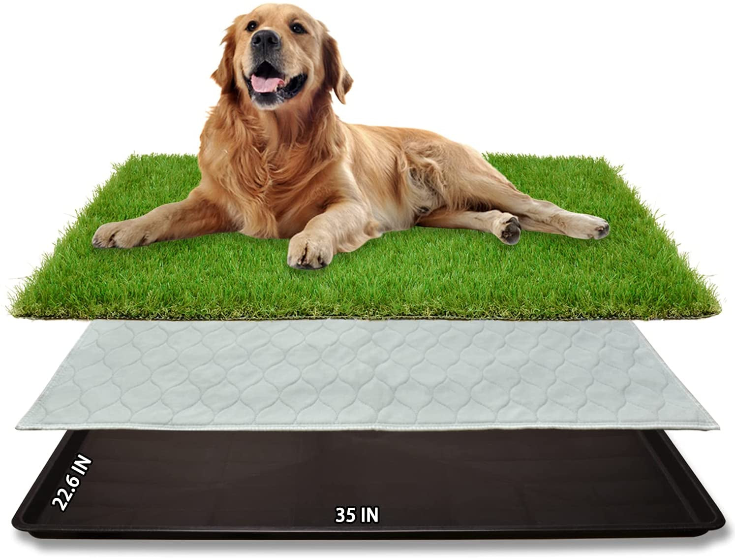 Pawfectly Dog Grass Large Patch Potty, Artificial Dog Grass Bathroom Turf for Pet Training, Washable Puppy Pee Pad, Perfect Indoor/Outdoor Portable Potty Pet Loo (Tray System-35"X22.6")